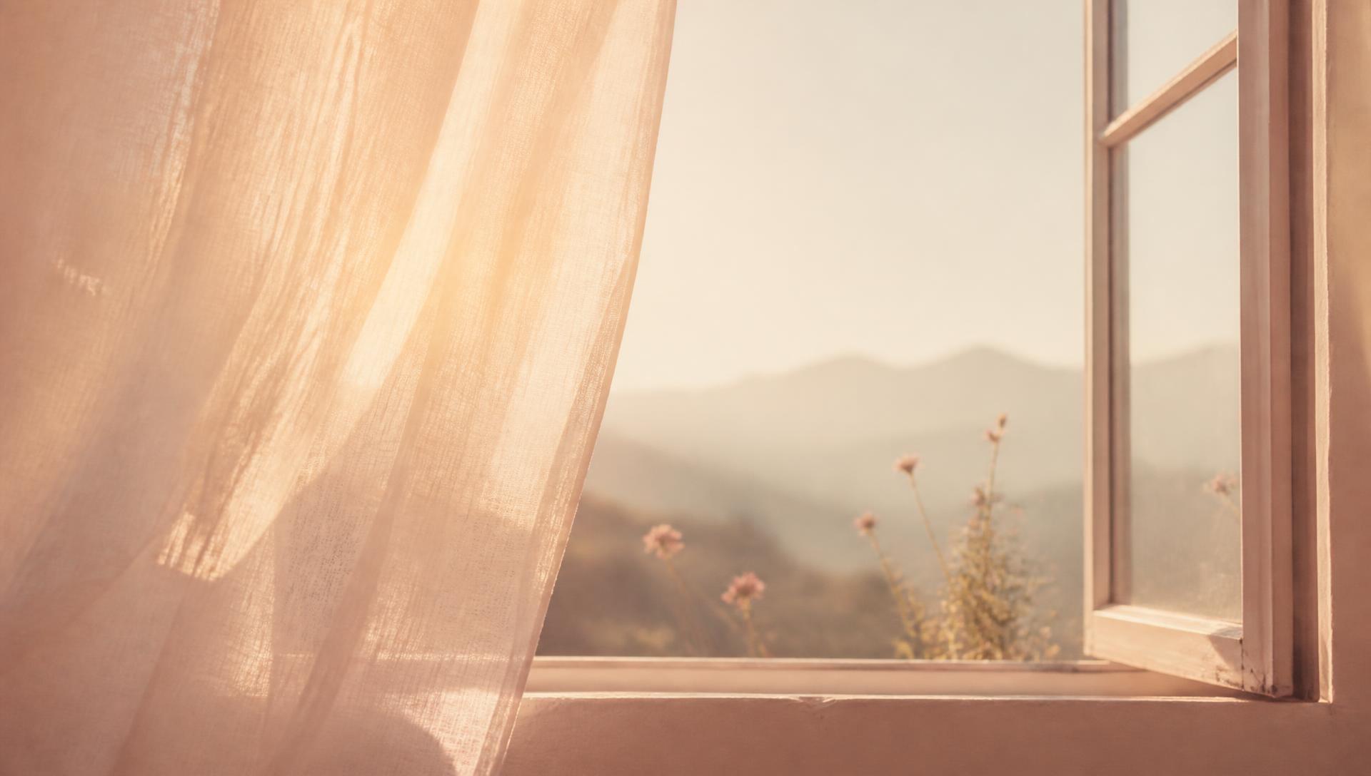 Morning light through a curtain, hills and wildflowers beyond the window